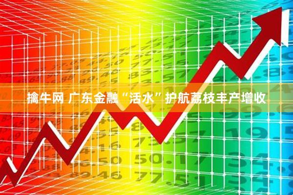 擒牛网 广东金融“活水”护航荔枝丰产增收