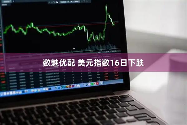 数魅优配 美元指数16日下跌