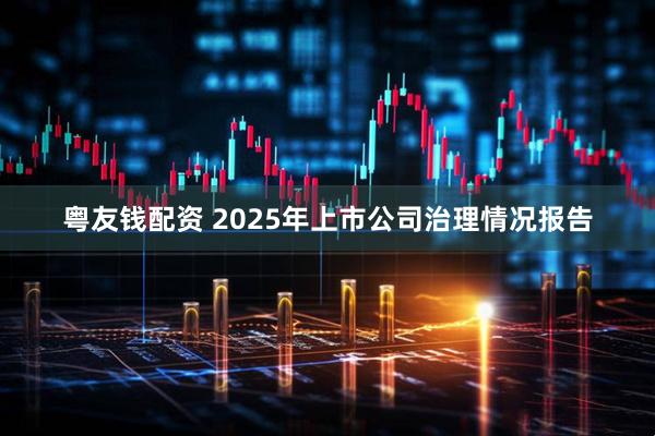 粤友钱配资 2025年上市公司治理情况报告